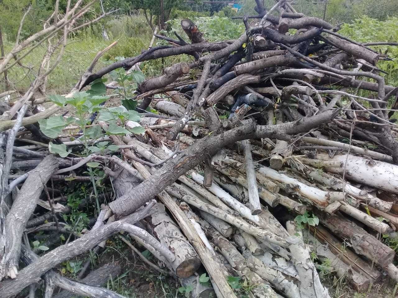 Отдам бесплатно дрова на зиму