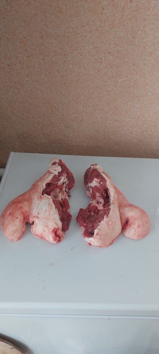 Продам              баранина