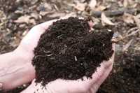 Mranita , compost ( ingrasamant natural )