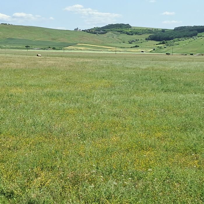 Baloti de fân rotunzi 120×120