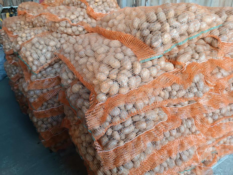 Cartofi Carrera-ultra consum și animale