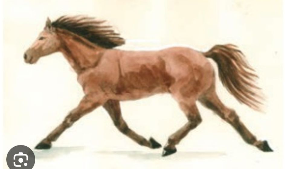 Жорға ұрғашы жабағы сатылады