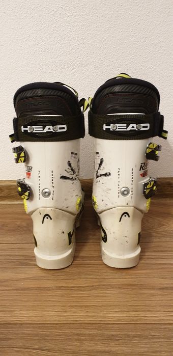 Head Raptor Word Cup