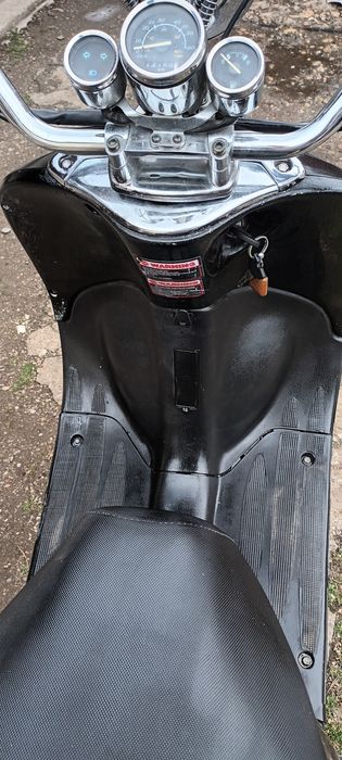 Scuter Cruiser 50 cm