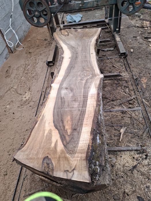 Scandura /foastana de nuc uscata