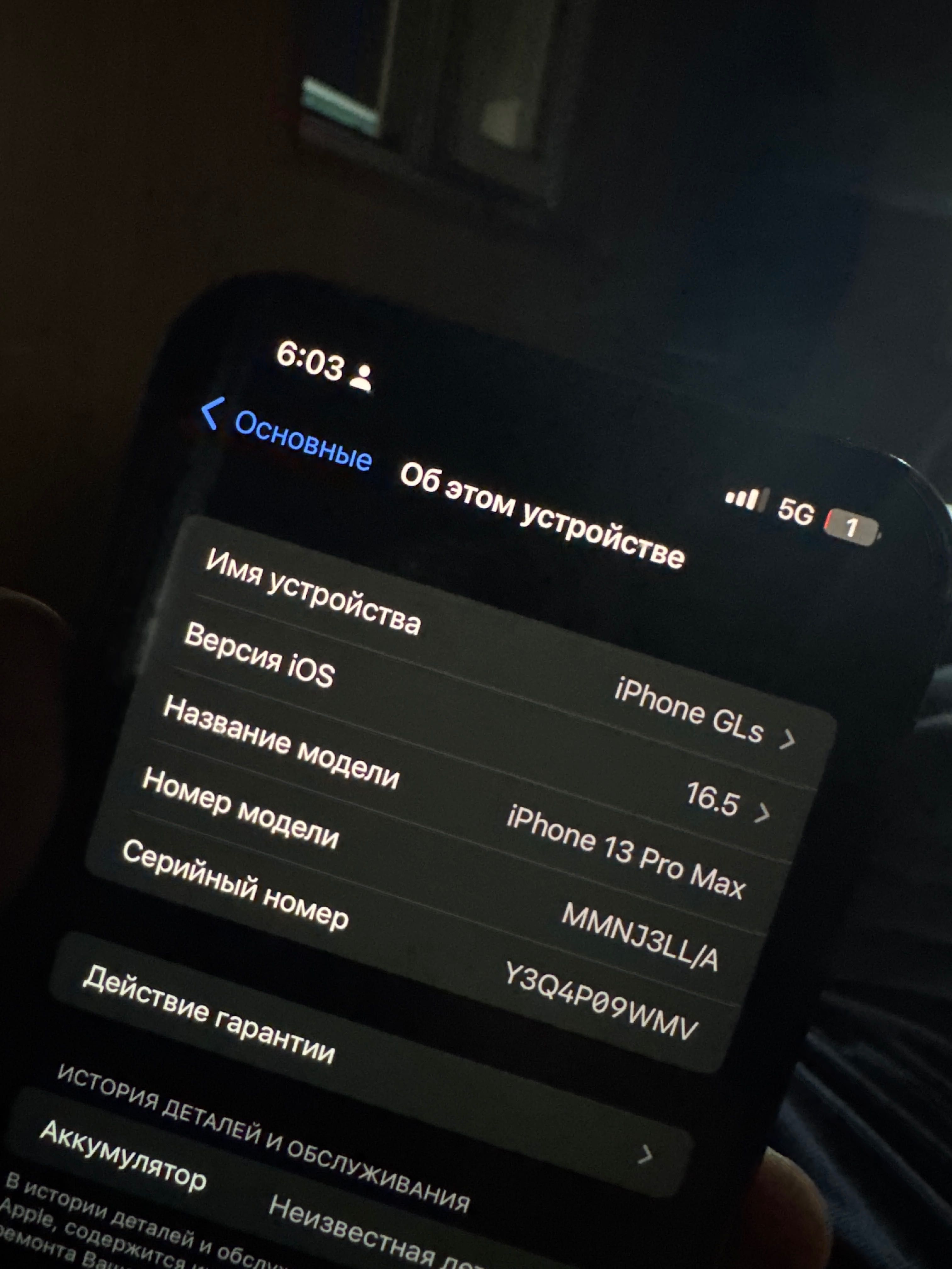 iPhone 13 Pro Max