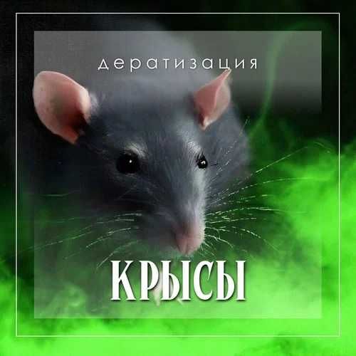 ‼️ Уничтожение мышей крыс тараканов клопов блох ‼️ обработка ‼️ №00231