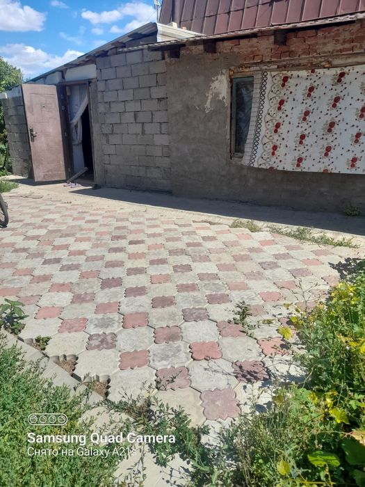 Дача восток где желаева.