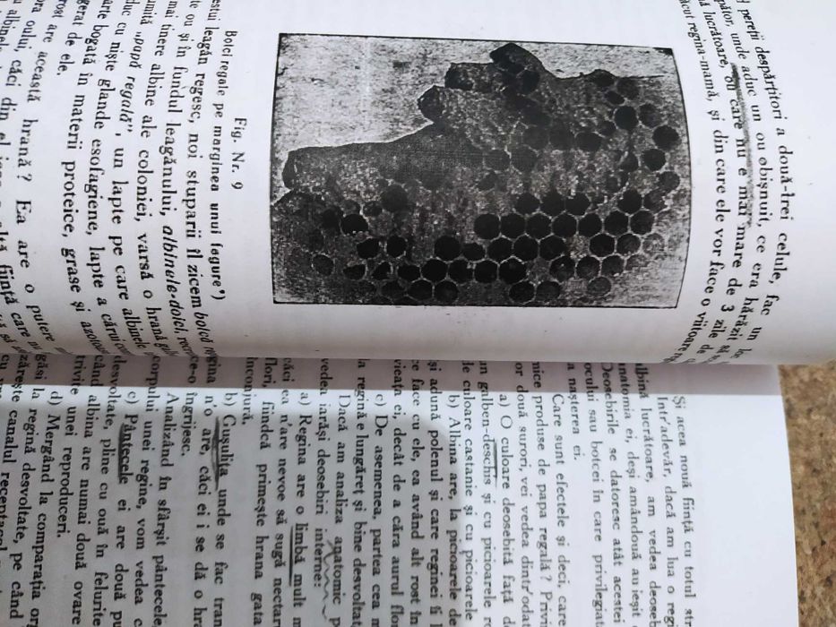 "Biblia" Apicultorului Constantin L. Hristea, xerocopie ediția I volum