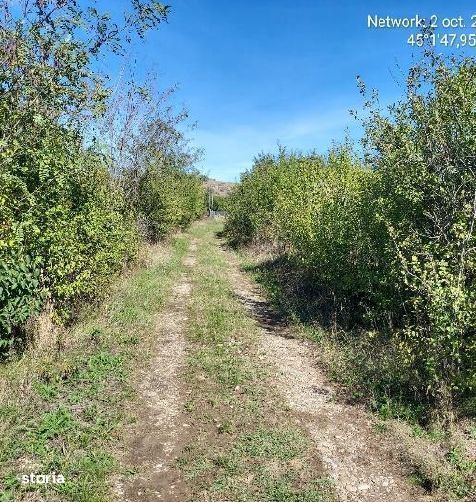 Teren intravilan Loc. Baicoi, Jud Prahova-id  17235
