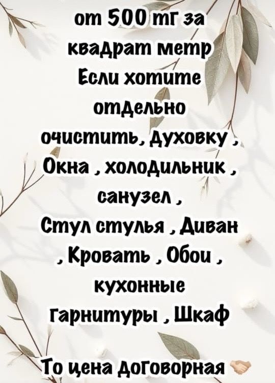 Клининг с проф аппратом