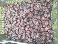 Prune uscate de Sîmbureşti