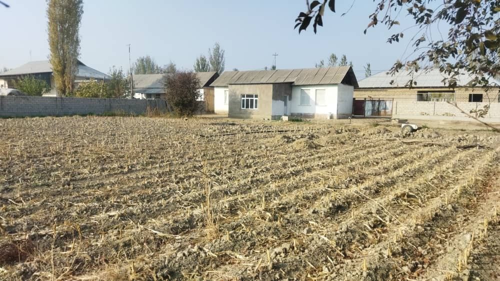 Ховли сотилади 20 сотих , Аққорған елтамғали көрік махаласида