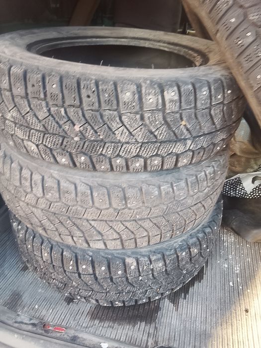 Шины зимных цыпы