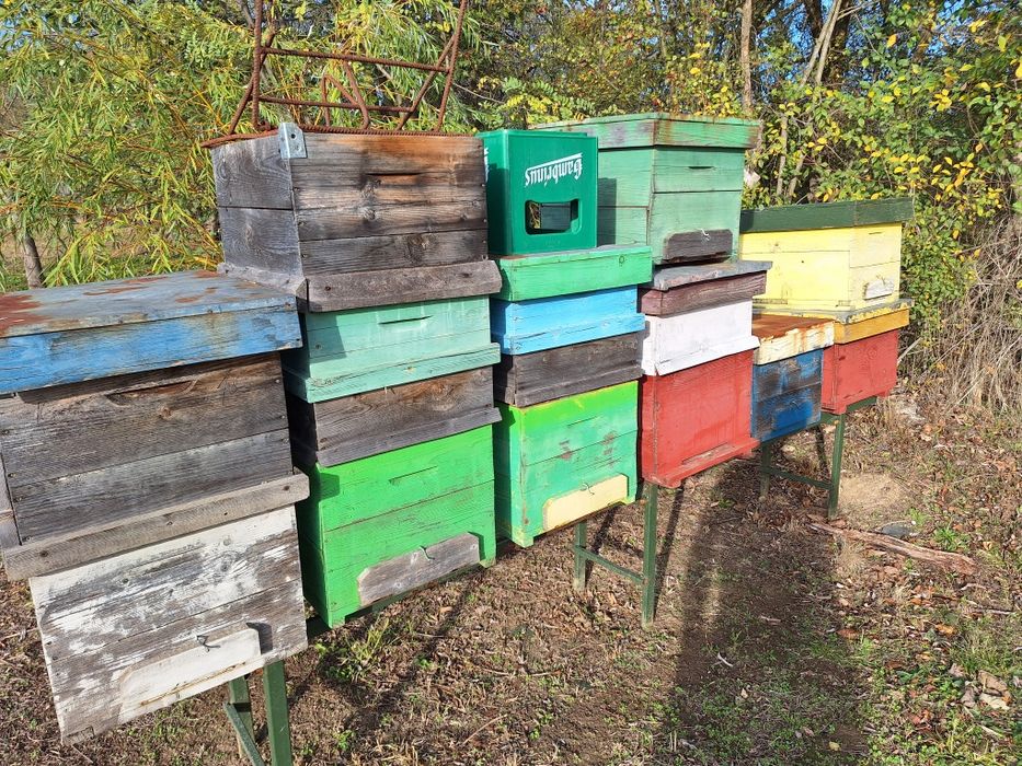 Cutii de stupi in stare buna!