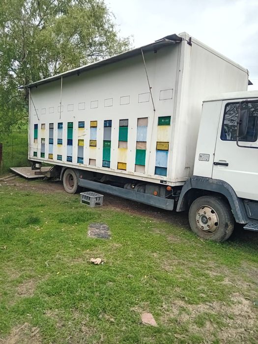 Vând mașină apicola MAN