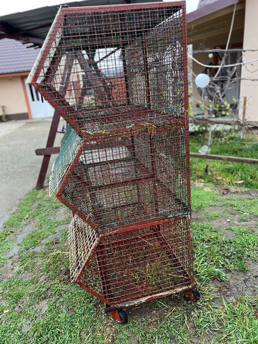 Cușcă Iepuri din fier