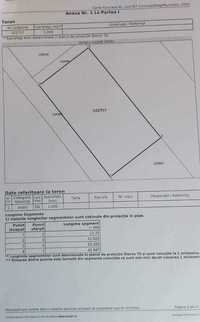 De Vanzare teren intravilan cu o suprafata de 10 Ari in Decebal.