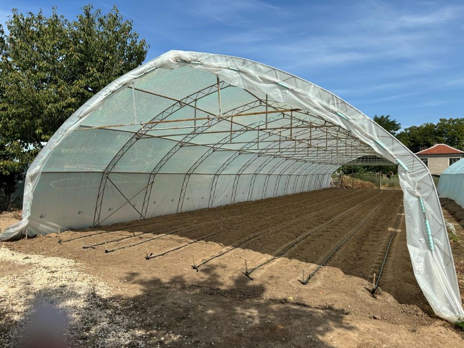 Оранжерии/Парници