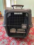 Cusca transport animale, XXL, maxim 41kg ,IATA