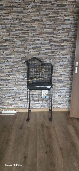 Colivie noua ptr.pasari