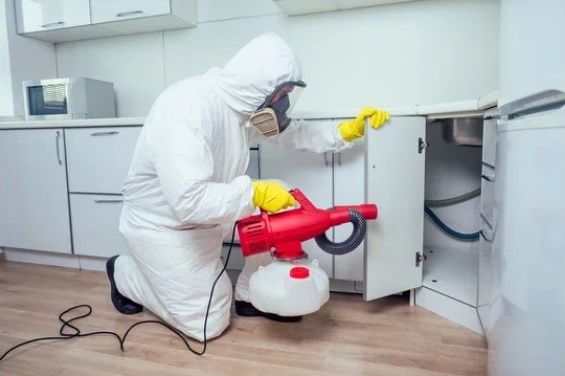 Дезинсекция обработаем дома квартиры офисы ком.помещения