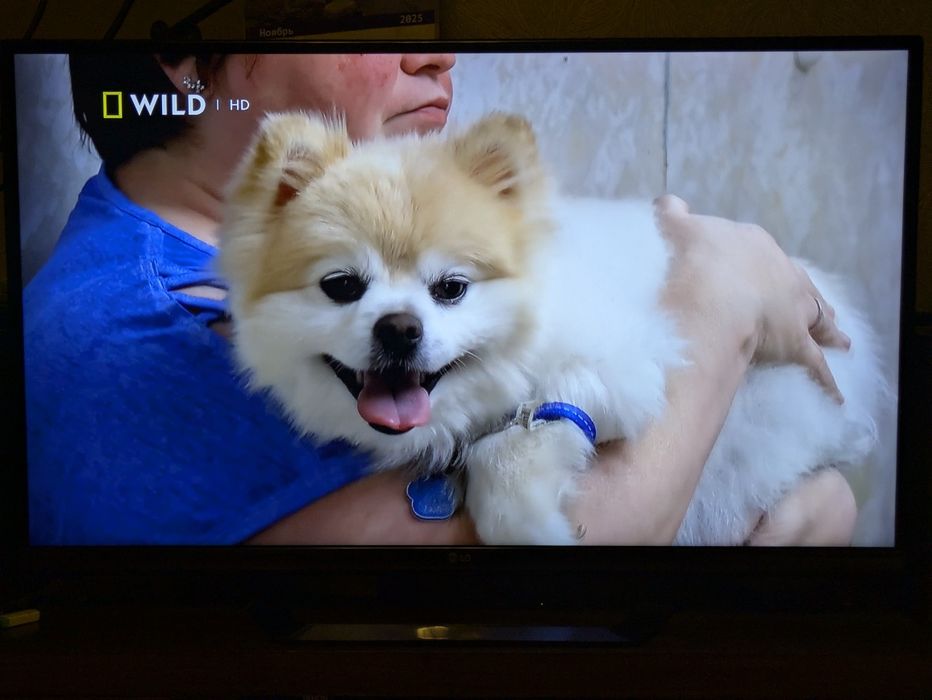 Телевизор LG 47' 3D 47lm640t