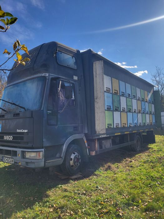 Camion apicol omologat+ww Pasat