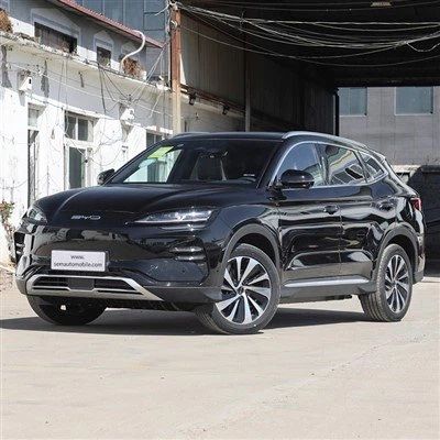 BYD champion smart