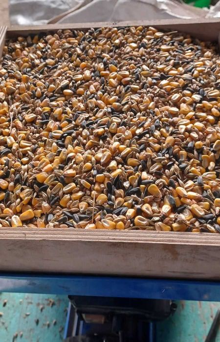 Vand amestec de cereale (mix) sau uruiala