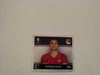 card euro 2024 Dusan Tadic