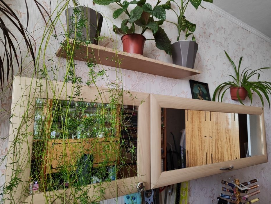 Шкаф с зеркальными дверцами.