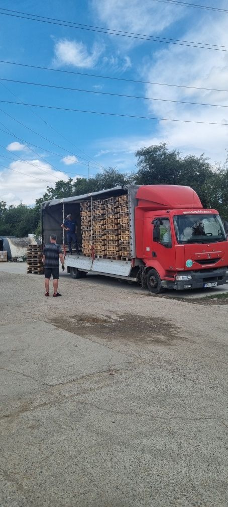 Vând paleti euro și NON euro, atipici