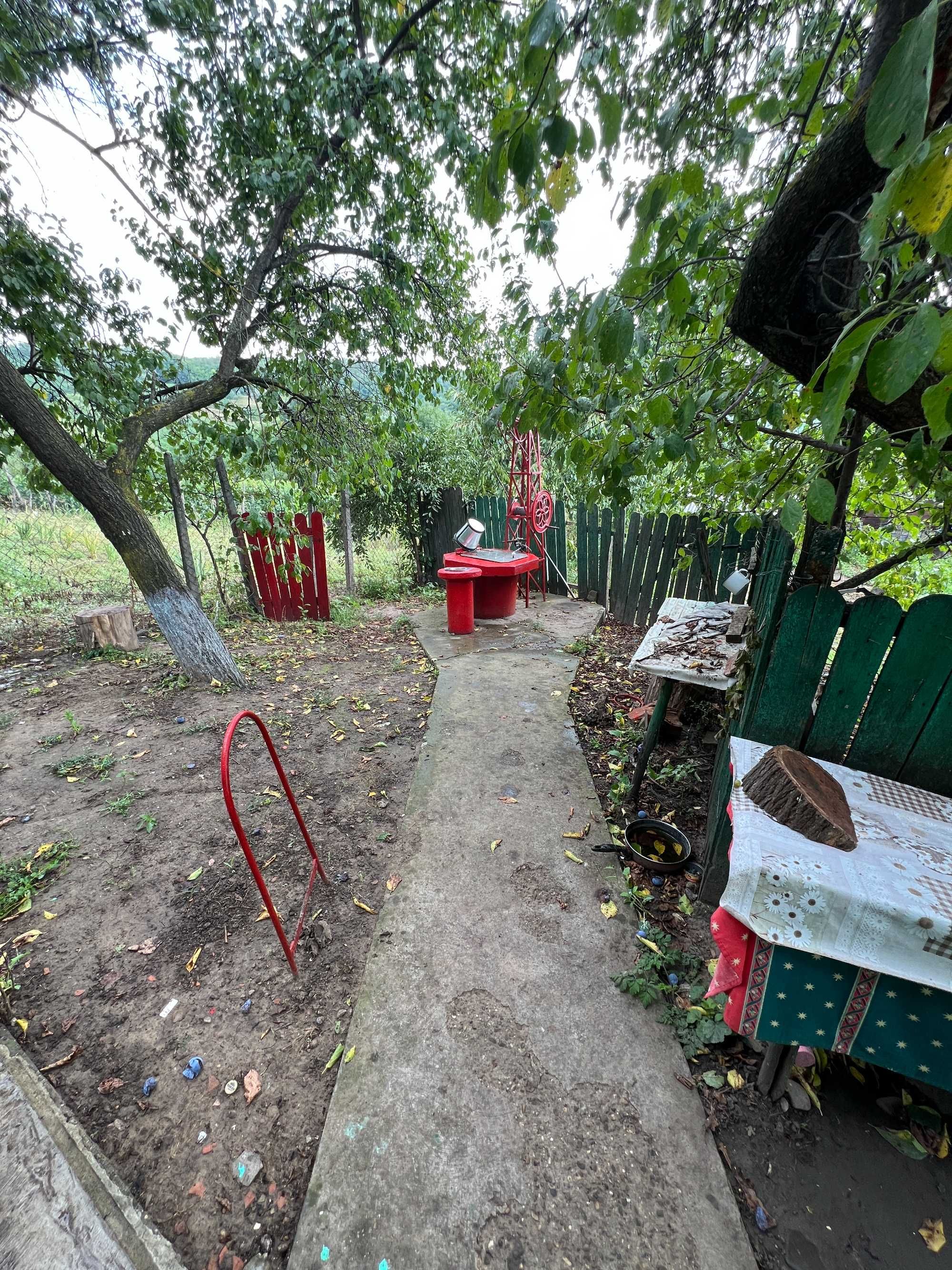 Vand Casa in sat Plopi com. Bunesti-Averesti