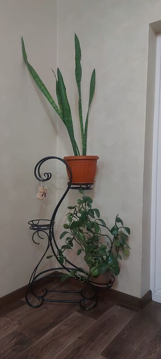 Продаётся подставка для цветов