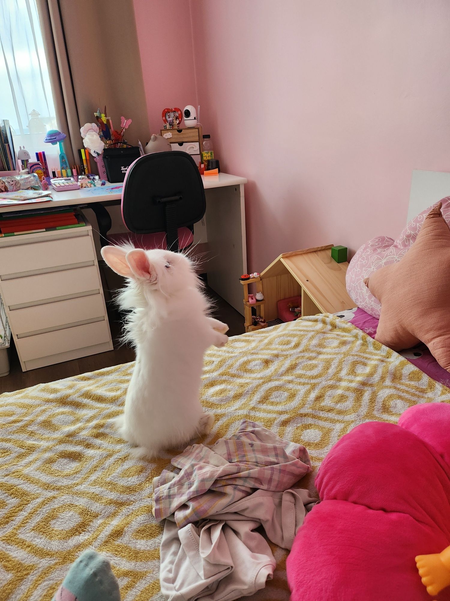 Продавам декоративно зайче