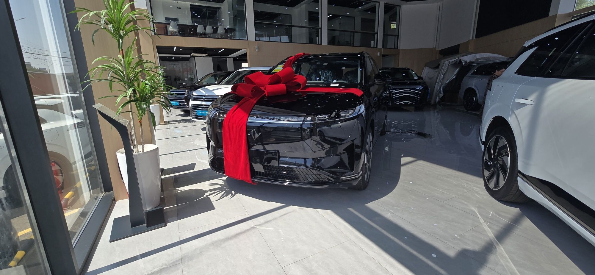 Официальный дилер  Dongfeng 008 210 Max  2025 вып