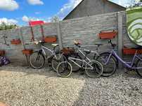 4 biciclete-400 lei