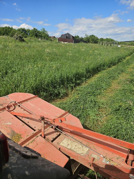 Baloti lucerna,fan si otava