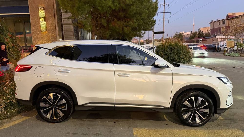 Byd champion 2024/25 restayling