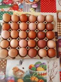 Vând ouă de consum și preiau comenzi pentru o noua serie de puișori