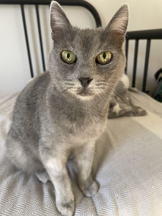 Stormi isi cauta familie