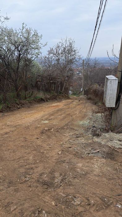 Имот в землището на с.Брестник