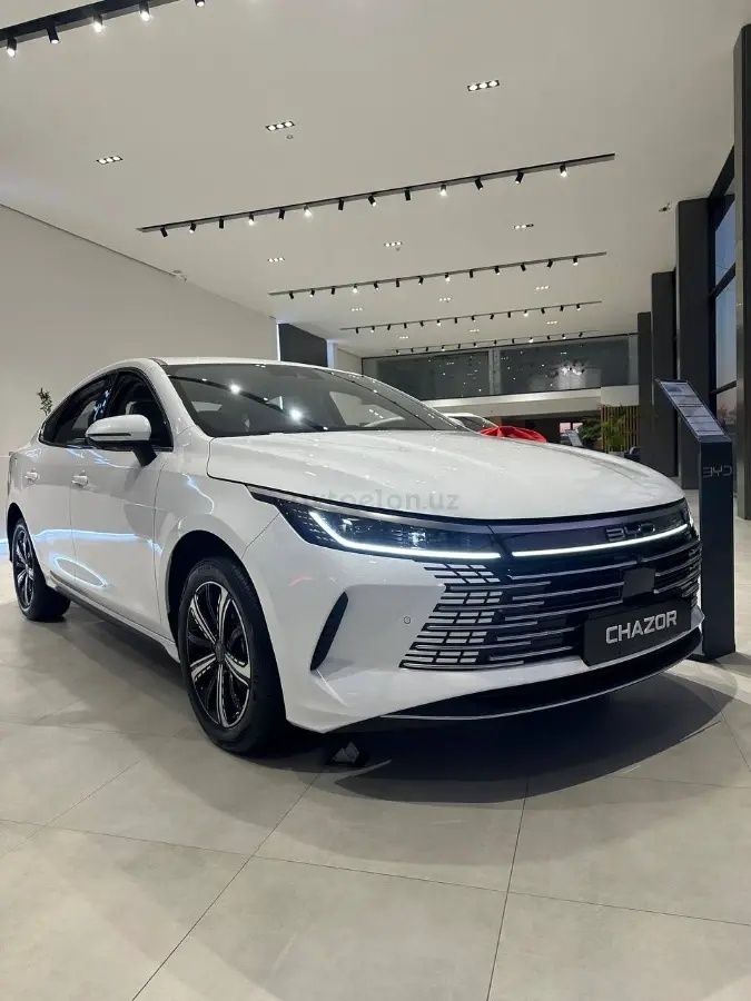 Транспортные услуги премиум-класса — BYD Chazor