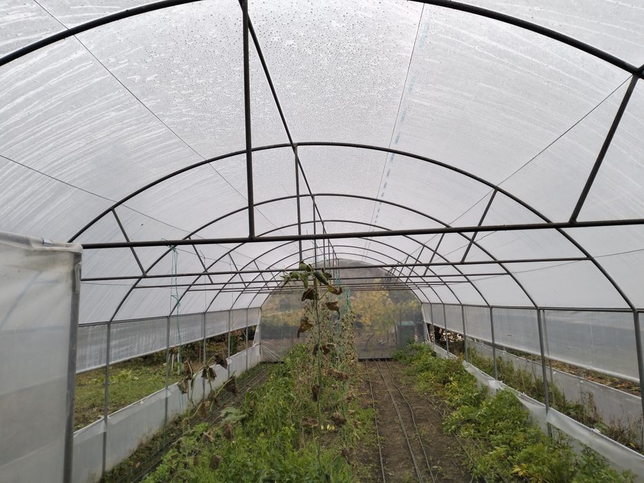 Solare pentru legume