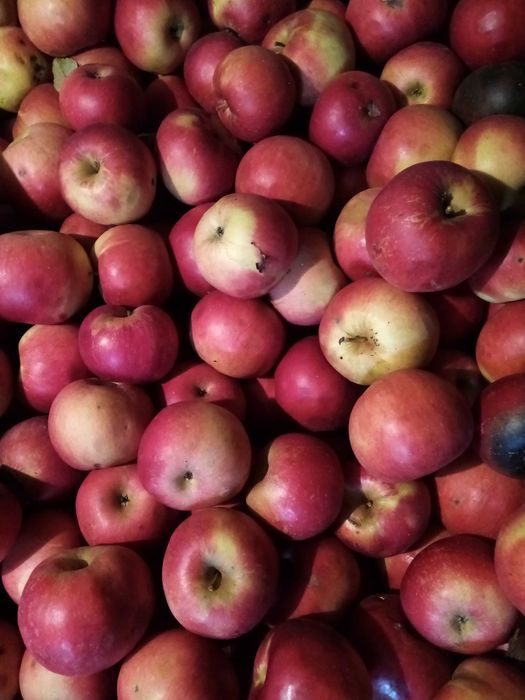 Mere de vanzare diverse sortimente