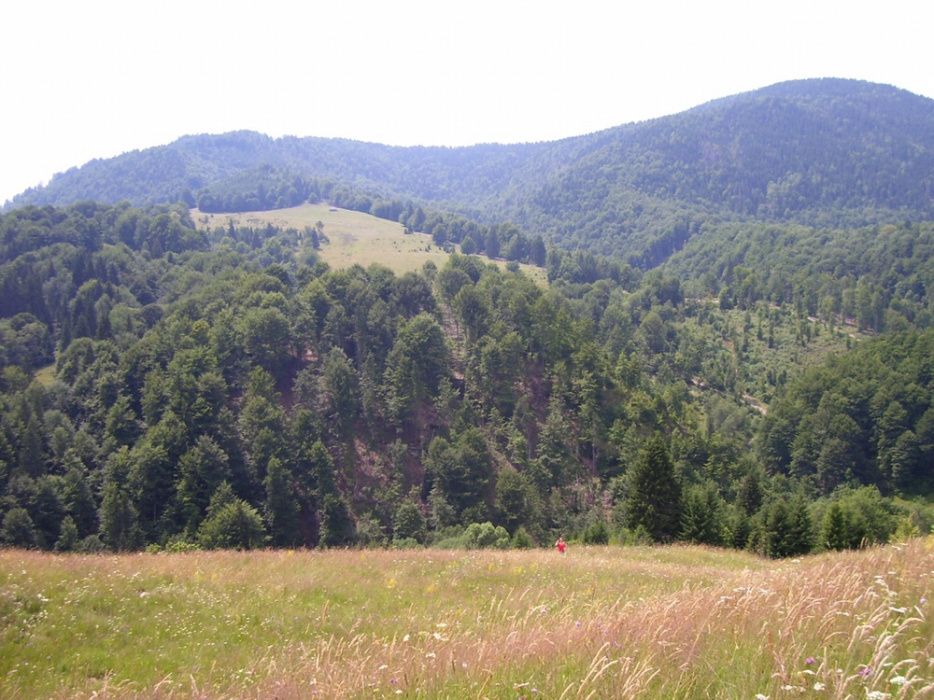 Vând teren Valea Cheii - Dâmbovicioara Arges