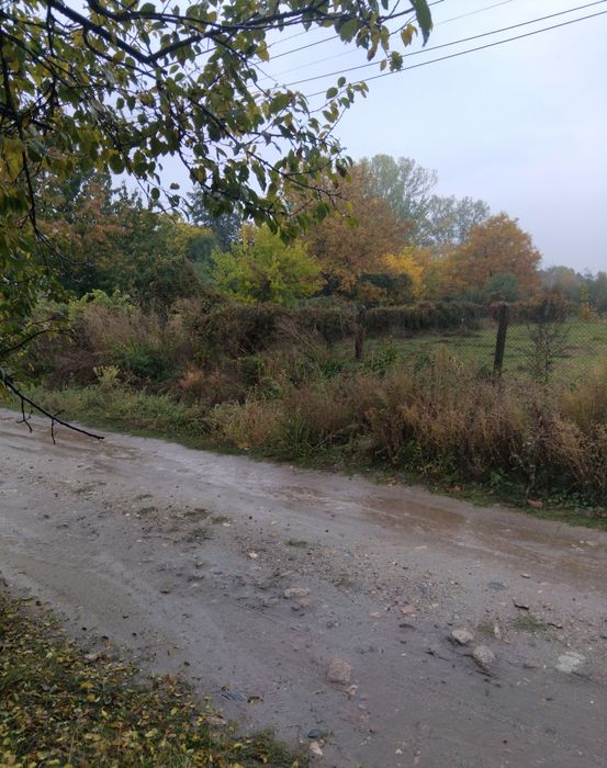 Продава се Парцел в с. Самораново, Област Кюстендил - 900 кв.м за 48 €/кв.м - Снимка #1