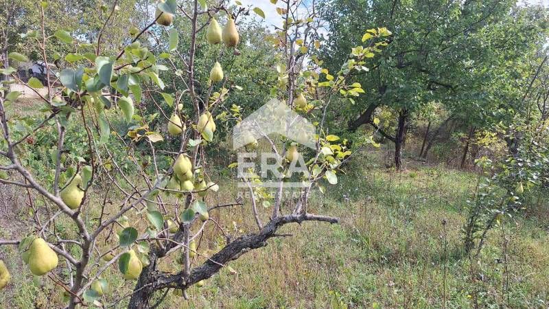 Продава се Парцел в Варна, м-т Боровец - юг - 1236 кв.м за 37 €/кв.м - Снимка #4