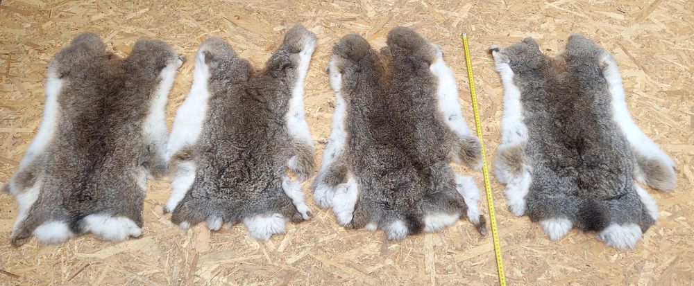 Piei/Blănuri argăsite iepure